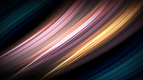 Miscellaneous-3149.jpg