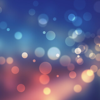 Miscellaneous-3168