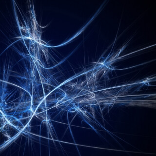 Miscellaneous-3210