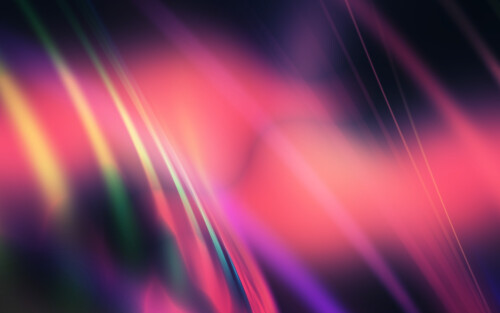 Miscellaneous-3213.jpg