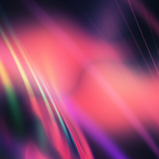 Miscellaneous-3213