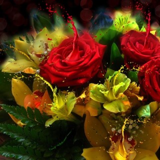 Miscellaneous-33