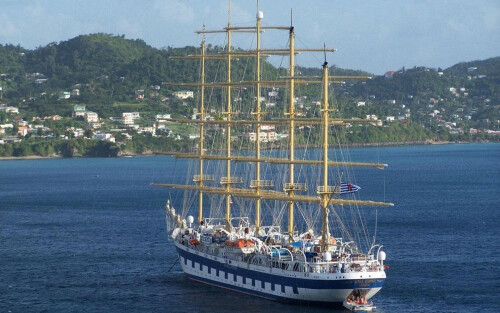 Miscellaneous (3402)