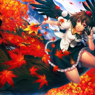 Miscellaneous-3558
