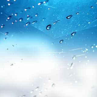 Miscellaneous-3560