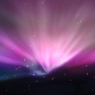 Miscellaneous-3660