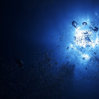 Miscellaneous-3704