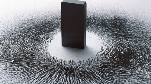 Miscellaneous (3837)