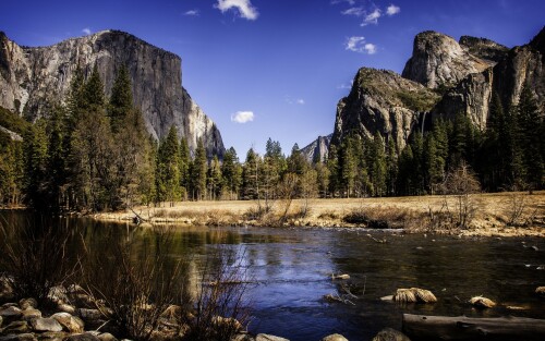 Miscellaneous (3853)