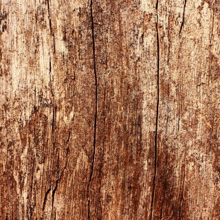 Miscellaneous-4026