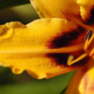 Miscellaneous-4136