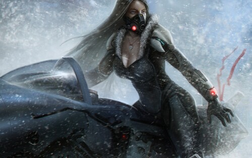 Miscellaneous (5034)