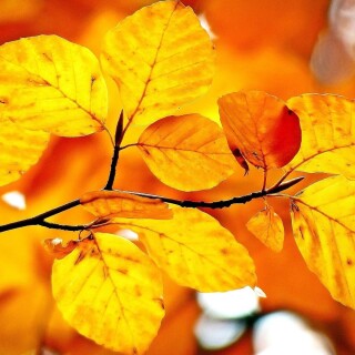 Miscellaneous-5041