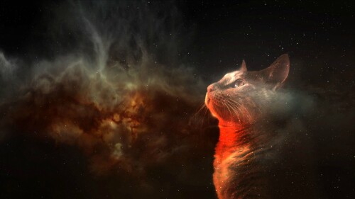 Random-Wallpaper-102.jpg