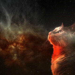 Random-Wallpaper-102