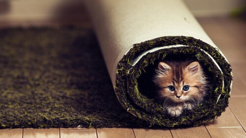 Random-Wallpaper-112.jpg