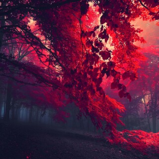 Random-Wallpaper-125