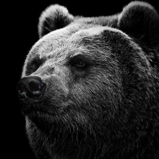 Random-Wallpaper-159