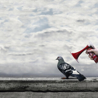 Random-Wallpaper-172