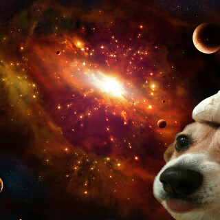Random-Wallpaper-203