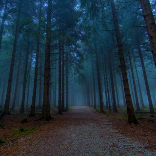 Random-Wallpaper-218