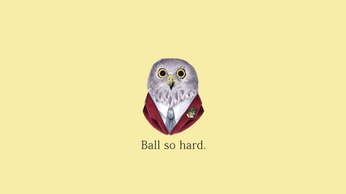 Random-Wallpaper-229.jpg