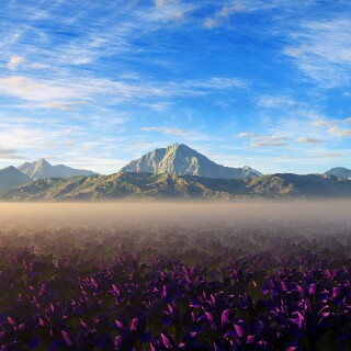 Random-Wallpaper-258