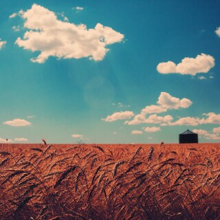 Random-Wallpaper-346