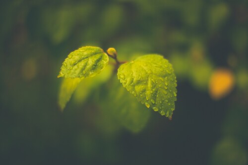 Random Wallpaper (373)