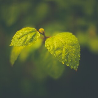 Random-Wallpaper-373
