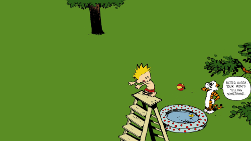 Random Wallpaper (4)