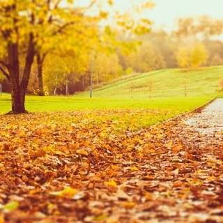 Random-Wallpaper-73