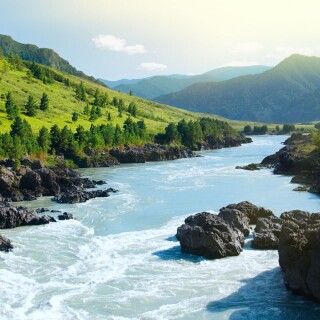 Random-Wallpaper-84