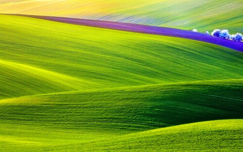 Ultra 4K UHD Wallpaper (25)