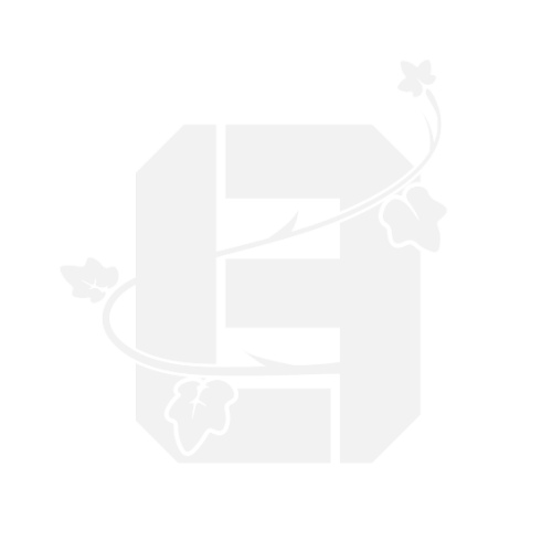 imageac377bb8ccb273da.png