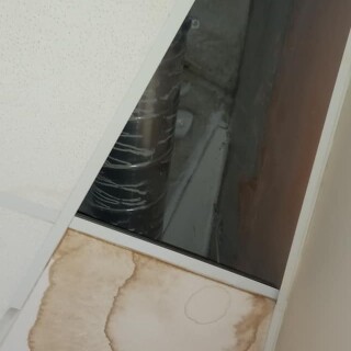 274271259_344672177672726_5638792330304244868_n_344672181006059