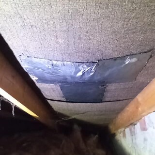 309114200_501862145287061_7505017489789570629_n_501862158620393