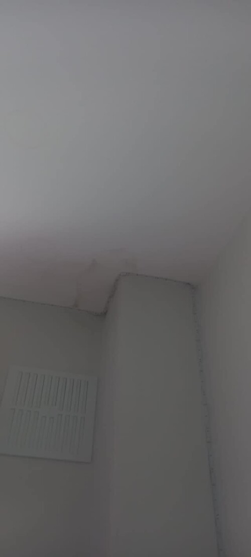 309268298_501867731953169_3049953098693194681_n_501867755286500.jpg
