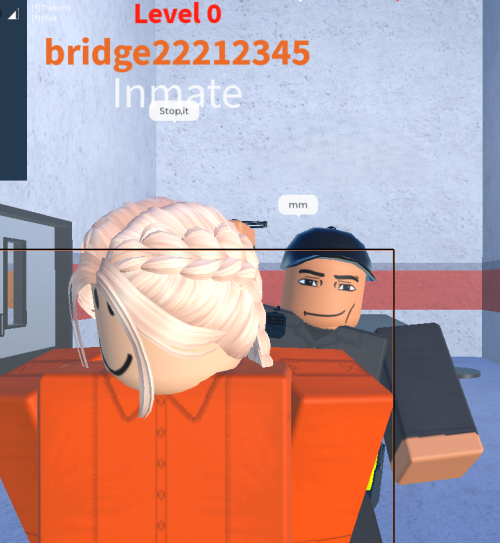 bridge22212345.png