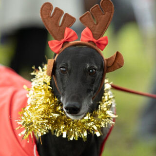 holly---DSC06539