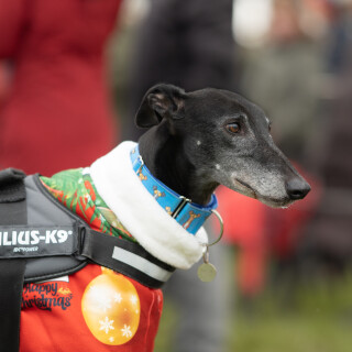holly---DSC06552