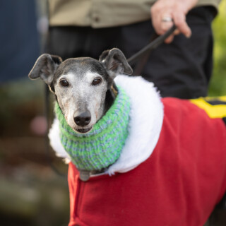 holly---DSC06616