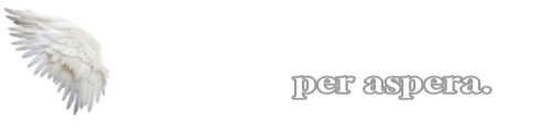 1641.png