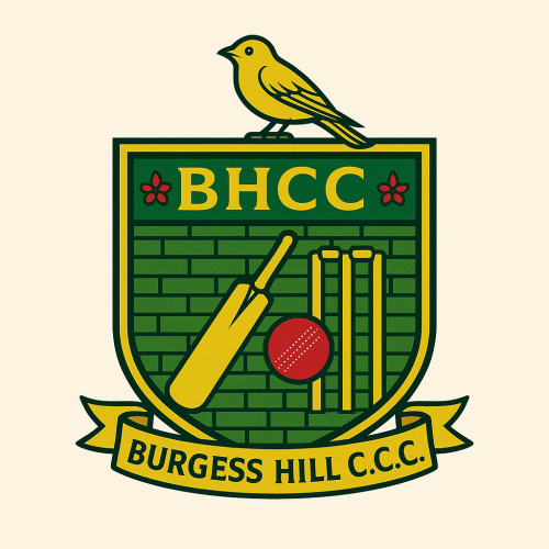 BH-Cricket.png