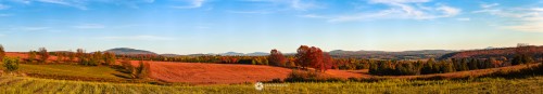 DSC_0034_stitch.jpg