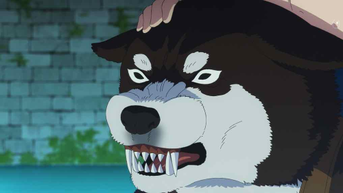 image8aab543858e8f7e2.png
