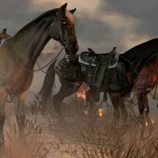 Rdr_four_horses_oblique