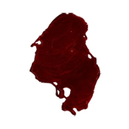 VINZBne.png