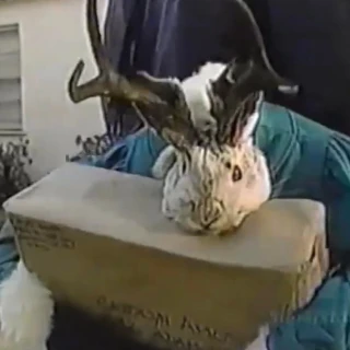 anyone-else-remember-the-jackalope-skit-on-afhv-it-used-to-v0-i73m1lf0x9fa1