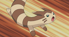 Furret.png